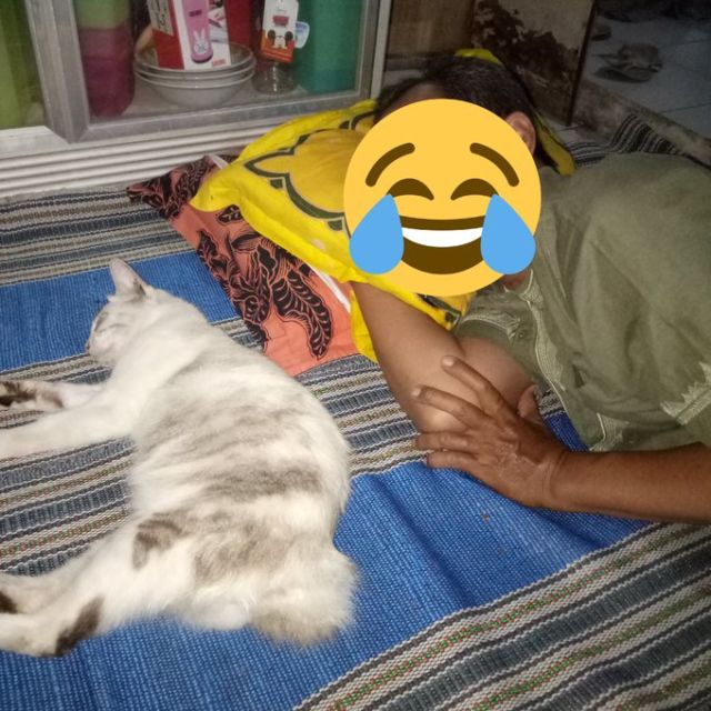 11 Potret Bapak Lebih Sayang sama Kucing daripada Anak Sendiri. Susah Kalau Udah Begini mah :D