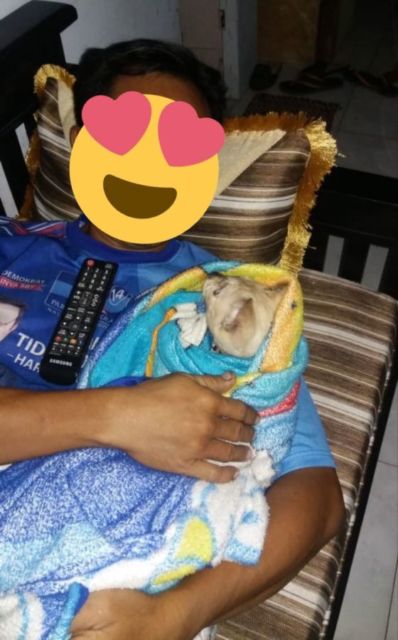 11 Potret Bapak Lebih Sayang sama Kucing daripada Anak Sendiri. Susah Kalau Udah Begini mah :D