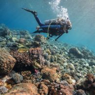 #DestinasiHipwee – Bersantai di Pantai sampai Menikmati Fenomena Langka di Indonesia, Ini Dia 5 Destinasi Ekowisata yang Harus Banget Kamu Kunjungi!