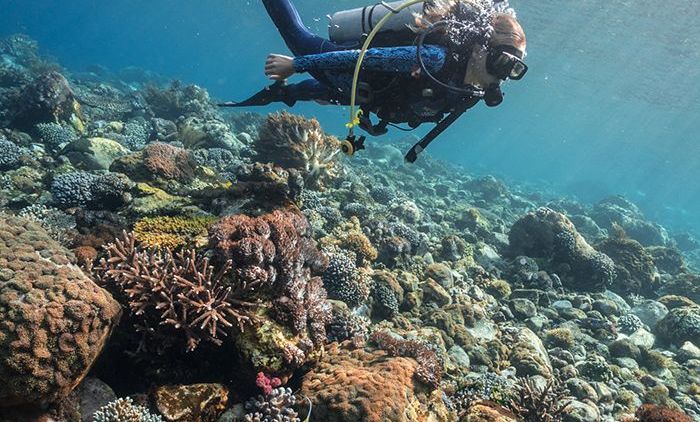 #DestinasiHipwee – Bersantai di Pantai sampai Menikmati Fenomena Langka di Indonesia, Ini Dia 5 Destinasi Ekowisata yang Harus Banget Kamu Kunjungi!