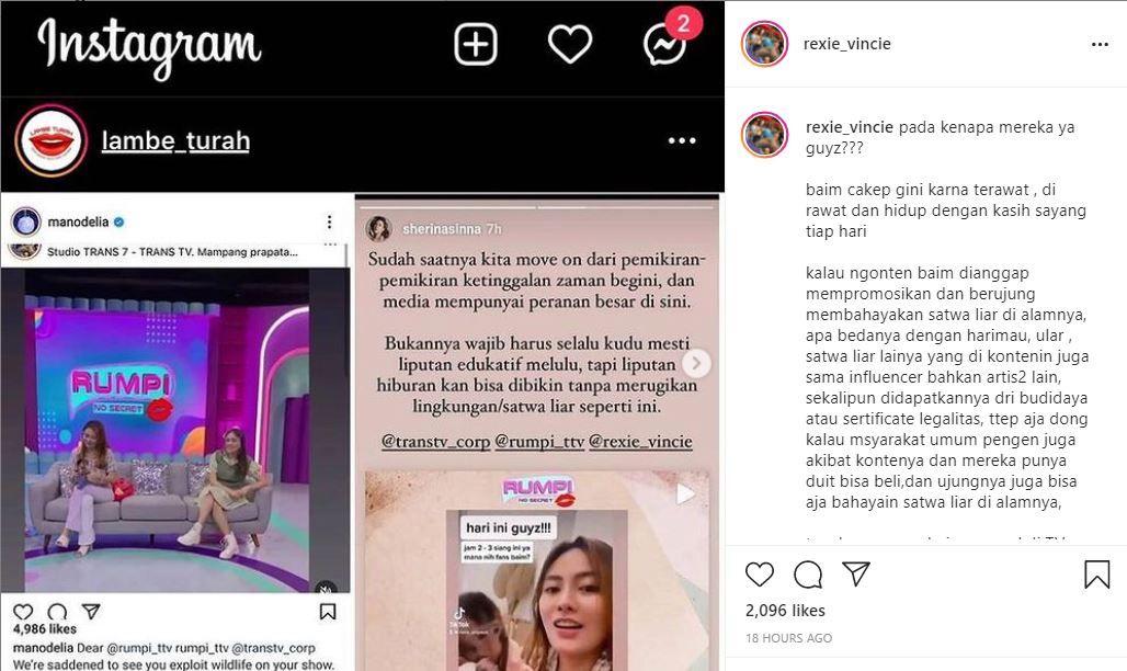 Monyet yang Viral di Tiktok Diundang Program TV, Sherina Kritik Keras Eksploitasi Satwa Liar