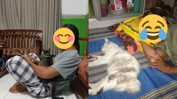 11 Potret Bapak Lebih Sayang sama Kucing daripada Anak Sendiri. Susah Kalau Udah Begini mah :D