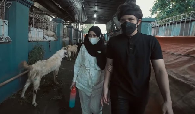 Jelang Kurban, Atta-Aurel Borong Satu Kandang Sapi dan 23 Ekor Kambing. Ada Alasan Tersendiri