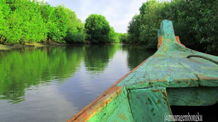 #DestinasiHipwee-Cerita Pesona Muara Gembong yang Terselip di Ujung Bekasi