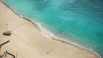 #DestinasiHipwee-5 Pesona Pulau Peucang Ujung Kulon yang Bikin Balik Lagi