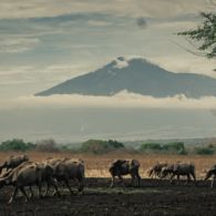 #DestinasiHipwee-Menikmati Pesona Keanekaragaman Hayati Di Taman Nasional Baluran, Keren Banget !