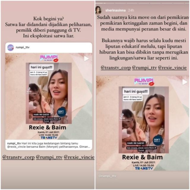 Monyet yang Viral di Tiktok Diundang Program TV, Sherina Kritik Keras Eksploitasi Satwa Liar