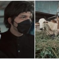 Jelang Kurban, Atta-Aurel Borong Satu Kandang Sapi dan 23 Ekor Kambing. Ada Alasan Tersendiri