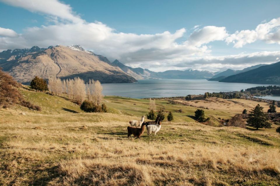 11 Film Luar Negeri dengan Latar Tempat yang Cantik Banget. Berasa Diajak Jalan-Jalan!