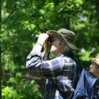 Destinasi Ciamik untuk Birdwatching di 7 Kawasan Indonesia, Bisa Jadi Pilihan Wisata Minim Kerumunan Nih