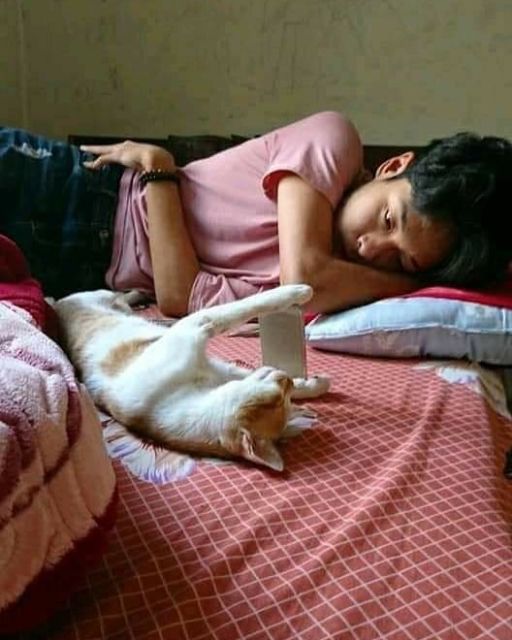 11 Potret Kegiatan Random Kucing Sehari-hari di Peradaban Manusia. Kelakuan Gini Banget, Cing :(