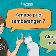 Memahami Perasaan Hewanmu Tanpa Bicara Lewat Jasa Animal Communicator