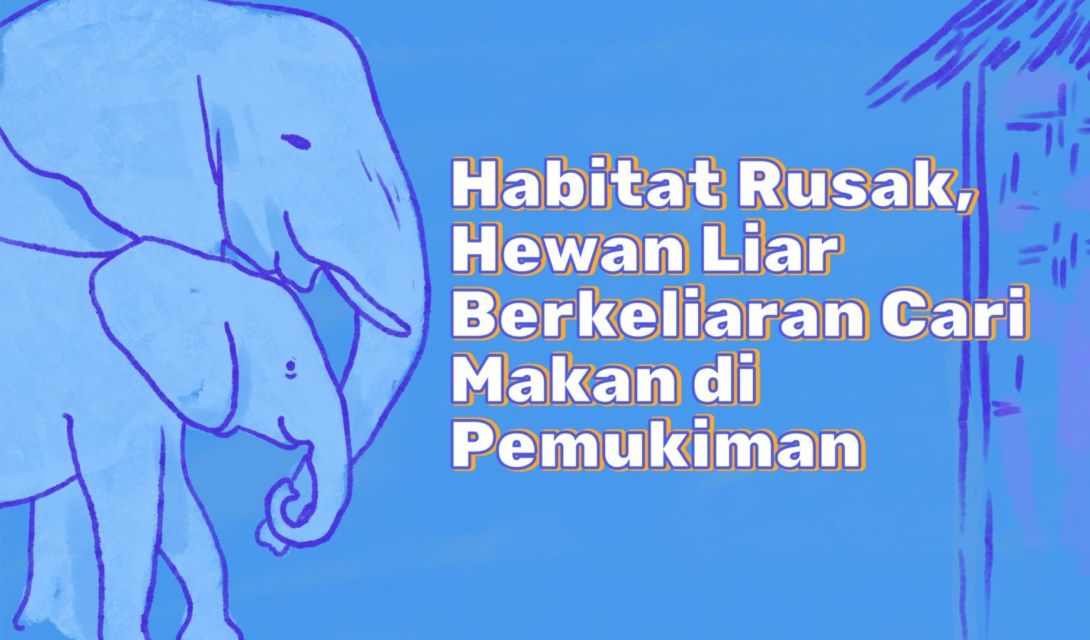 Mirisnya Kemunculan Hewan Liar di Pemukiman. Tanda Bumi Sedang Tak Baik-Baik Saja