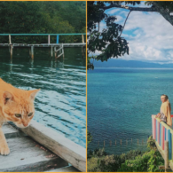 Nggak Cuma Jepang, Indonesia Ternyata Juga Punya Pulau Kucing di Kepulauan Sula Maluku Utara