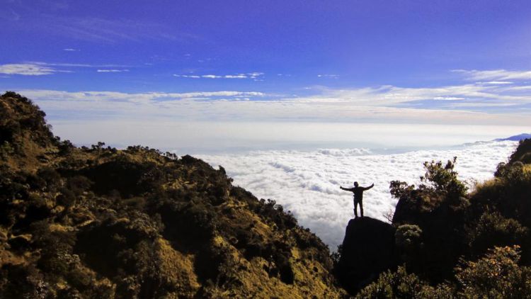 Jalur Pendakian Gunung Sumbing via Mangli Dibuka Kembali. Prokes Jangan Sampai Kendor!