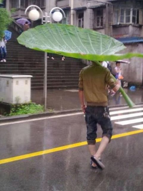 11 Potret Kocak Logika Bapak-Bapak Menghadapi Turunnya Hujan. Nggak Semua Cowok Begini kok :(