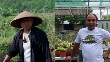 Jarang Muncul di Dunia Hiburan, 6 Artis ini Putuskan Jadi Peternak dan Petani. Investasi Masa Depan!