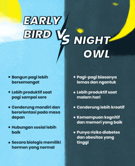 Early Bird Vs Night Owl: Produktivitas Orang Kerja Pagi & Malam. Beneran Takdir atau Bisa Diubah?