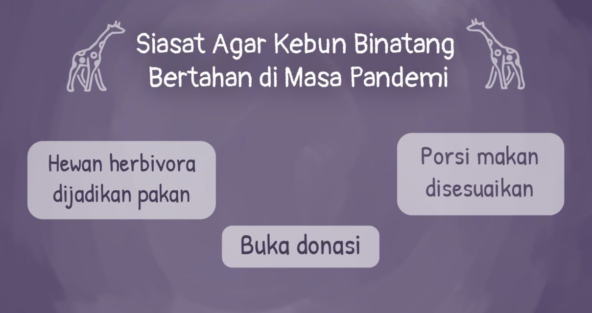 Nasib Kebun Binatang di Masa Pandemi. Kelaparan, Beberapa Hewan Harus Dikorbankan