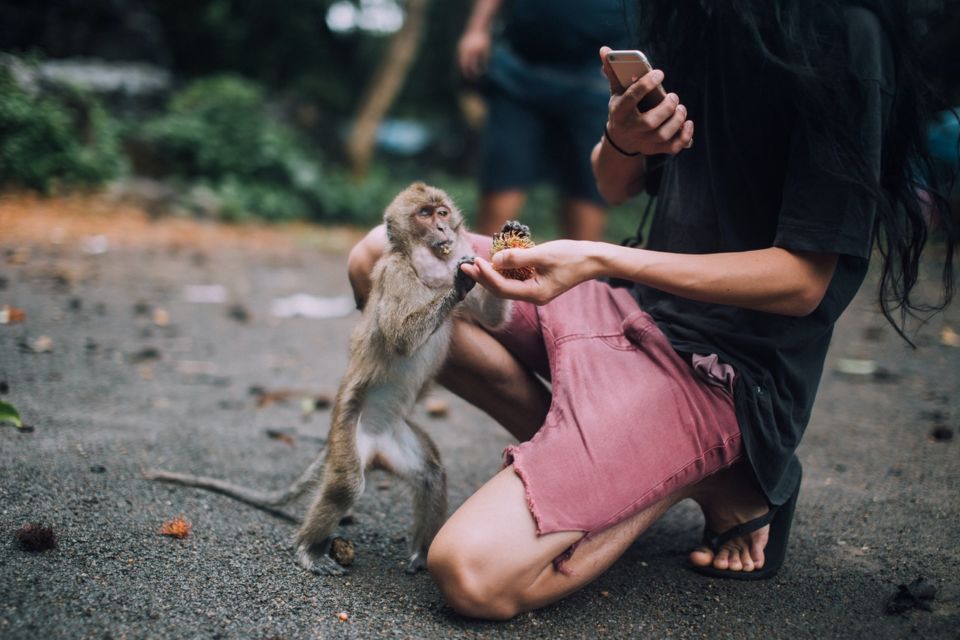 Indonesia Sumbang Konten Penyiksaan Hewan Terbanyak Dunia. Stop yuk Interaksi di Konten Begini!