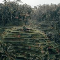 Nggak Selalu Mahal, Ini 6 Wisata Murah di Ubud yang Bisa Jadi Pilihan Liburan Nanti