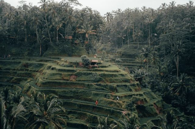 Nggak Selalu Mahal, Ini 6 Wisata Murah di Ubud yang Bisa Jadi Pilihan Liburan Nanti