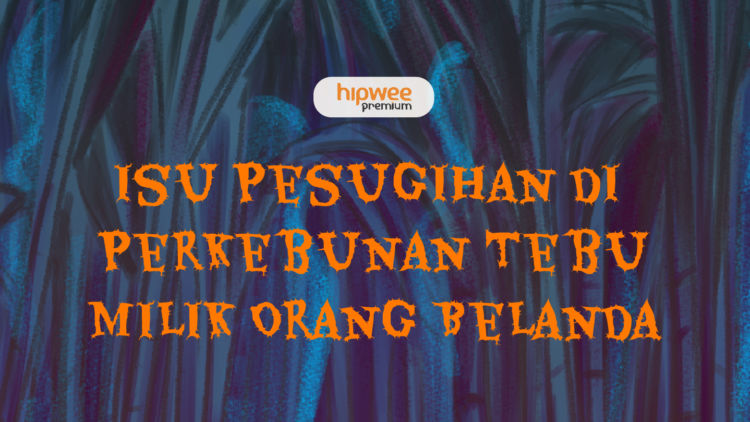 Misteri Perkebunan Tebu Milik Orang Belanda. Diliputi Isu Pesugihan, Warga Alami Banyak Kejadian~