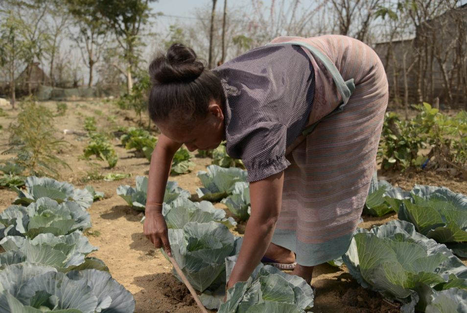 UNDP Luncurkan Indeks Kemiskinan Multidimensi, Indonesia Sebelum Pandemi Catat Kemajuan pada Dimensi Utama Kemiskinan