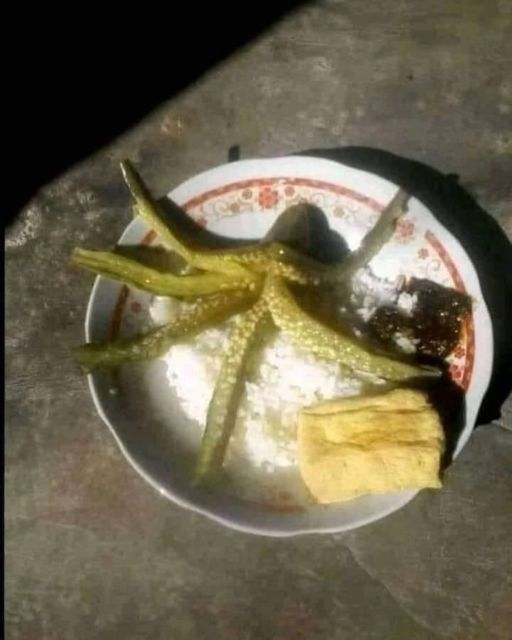 10 Foto Kreatifitas Plating Makanan Low Budget, Tetap Gengsi Meski Duit Lagi Tipis~