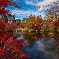 Gifu, Destinasi Wisata di Jepang bagi kamu yang Menginginkan Suasana Pedesaan yang Tenang