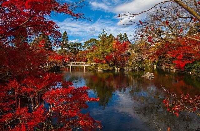 Gifu, Destinasi Wisata di Jepang bagi kamu yang Menginginkan Suasana Pedesaan yang Tenang