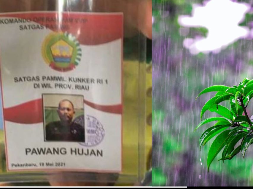 Pawang Hujan