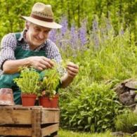 Harga Sayur Naik? Jangan Panik! Sayuran Ini Bisa Kamu Tanam Sendiri di Rumah