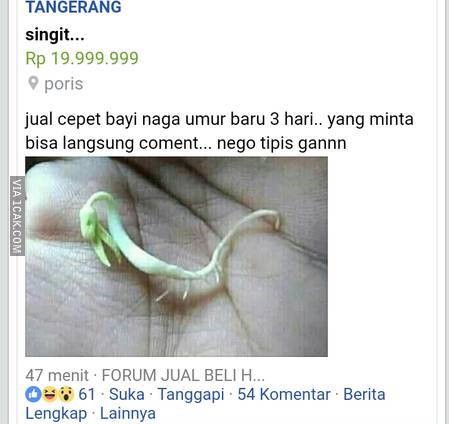 Potret Dagangan Aneh di Facebook ini Bikin Geleng Geleng Kepala. Ada yang Beli?