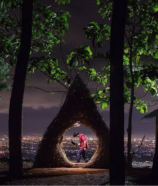 Puncak Pinus Pengger Wisata Malam Jogja