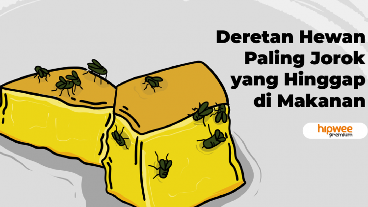 5 Besar Hewan Paling Jorok yang Hinggap di Makanan. Mana yang Masih Bisa Dikonsumsi?