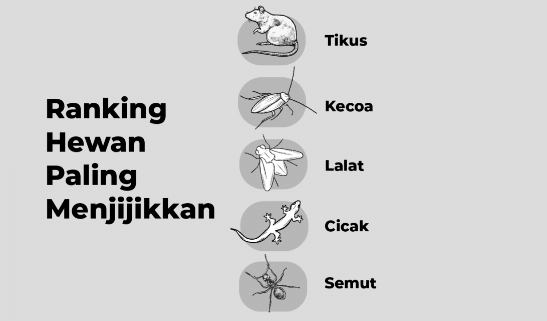 5 Besar Hewan Paling Jorok yang Hinggap di Makanan. Mana yang Masih Bisa Dikonsumsi?