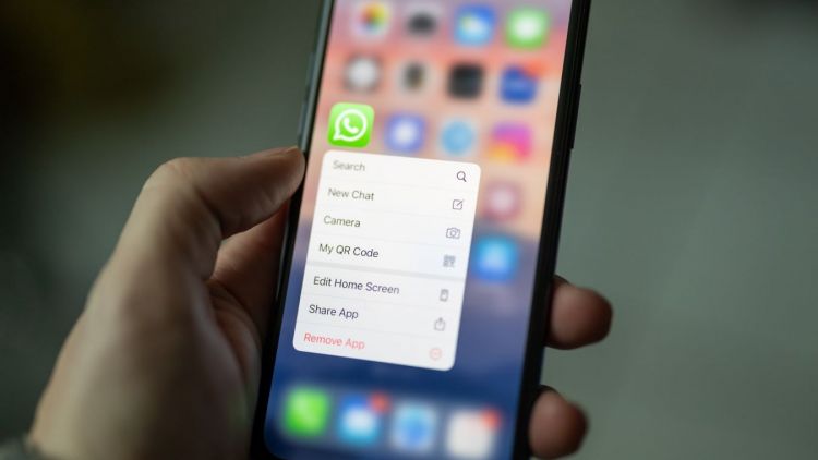 Dilema Warganet Soal Fitur Baru WhatsApp yang Bisa Sembunyikan Status ‘Online’