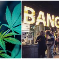 Thailand Ketok Legalisasi Ganja, Jadi yang Pertama di Asia