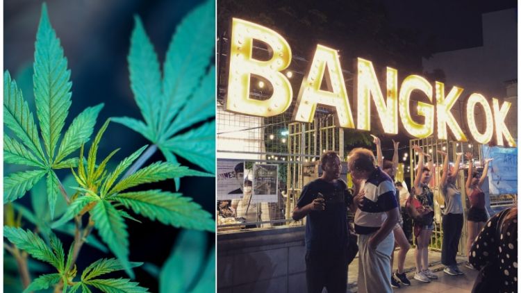 Thailand Ketok Legalisasi Ganja, Jadi yang Pertama di Asia