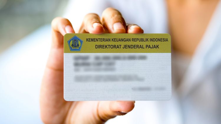 Cara Cek NPWP Mudah Lewat Website dan Scan Kode QR