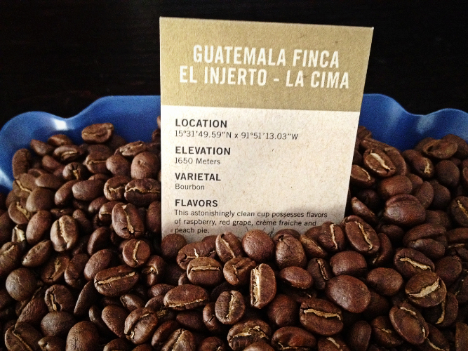 Finca EL Injerto Coffee