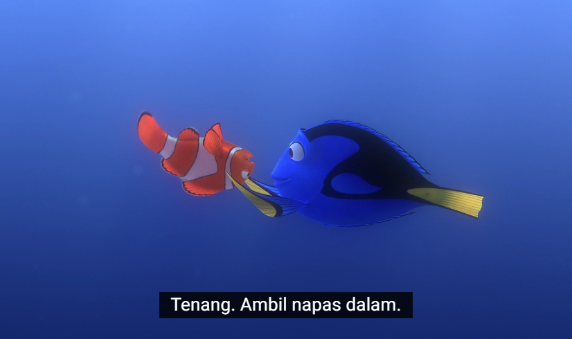 Dory and Marlin