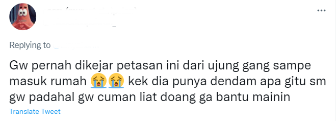 Pengalaman warganet main petasan