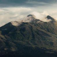 #HipweePuisi Surga di Tengah Belantara dari Sudut Pandang yang Berkicau