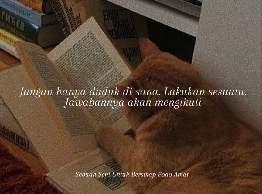 buku sebuah seni untuk bersikap bodo amat