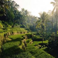 5 Destinasi Wisata Bali yang Wajib Dikunjungi, Nuansa Alamnya Dapat Banget!