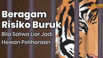 Inilah Beragam Risiko Buruk Bila Satwa Liar Dijadikan Peliharaan. Masih Tega?