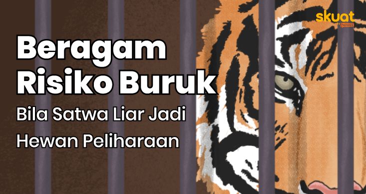 Inilah Beragam Risiko Buruk Bila Satwa Liar Dijadikan Peliharaan. Masih Tega?