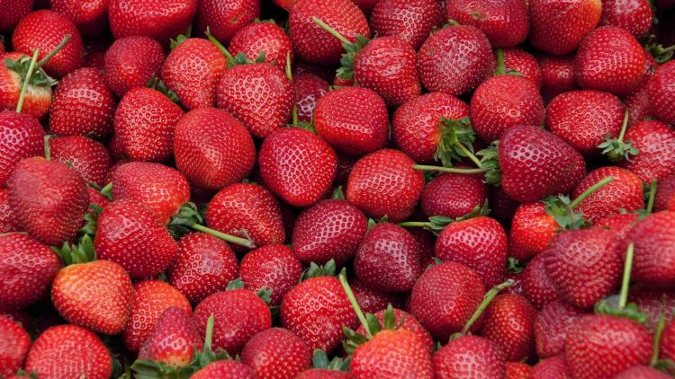 Mengenal Karakter dan Siapa itu Strawberry Generation. Apa Kamu Termasuk?